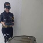 Gestão feminina ganha espaço no agronegócio e acelera mudanças no setor rural
